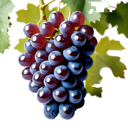 Juicy Red Grapes: Free PNG Image