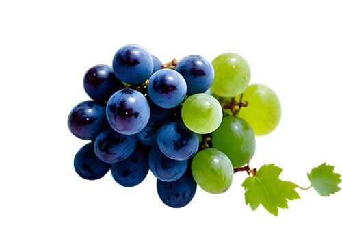 Vibrant Green and Red Grapes: Free PNG Image