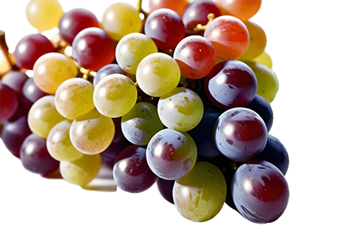 Colorful Assortment of Fresh Grapes: Free PNG Image