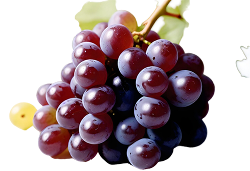 Glorious Red Grapes: Free PNG Image