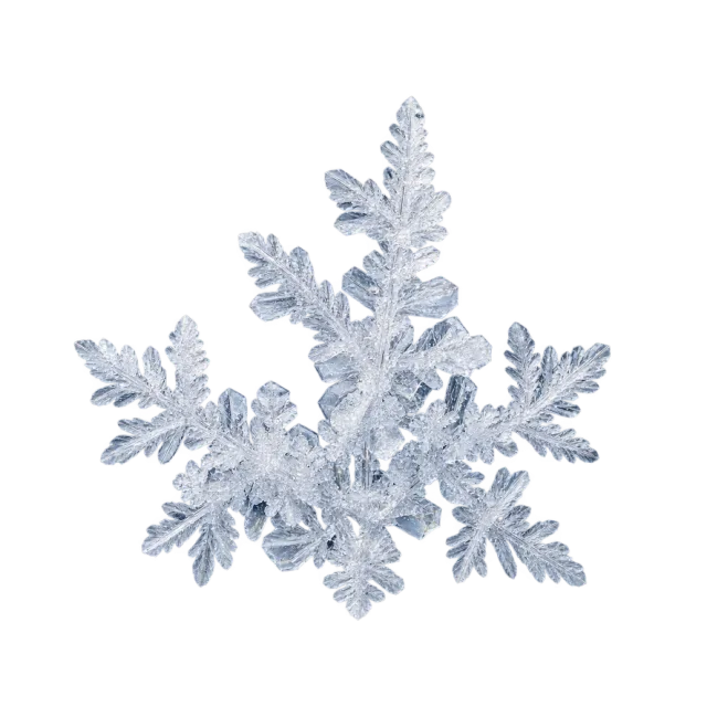 Cluster of pale icy crystals with branching fern-like points