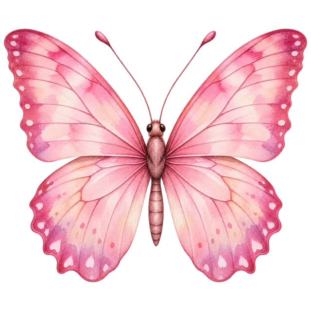 Painted pink butterfly with translucent washes, delicate veins and pale dotted edges