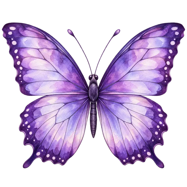 Painted lavender butterfly with dark purple borders and scattered pale wing dots