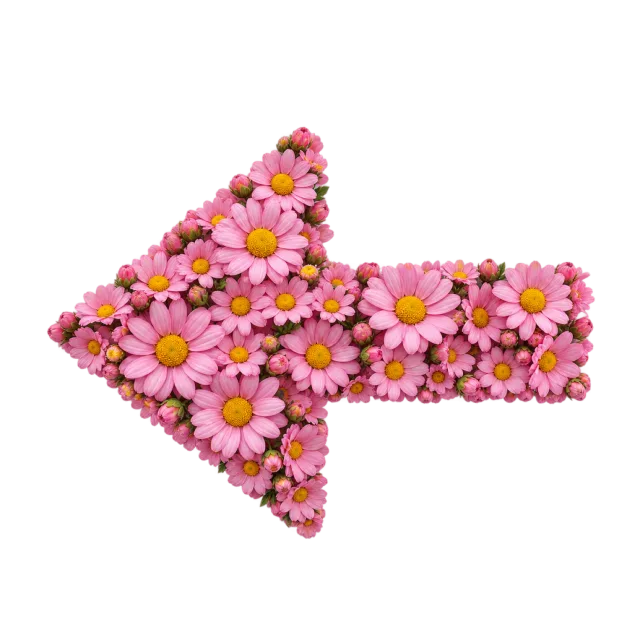 Left-pointing arrow made from small pink flowers with yellow centers