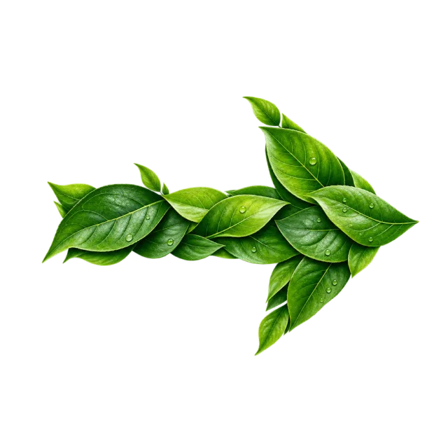 Right-pointing arrow formed from layered glossy green leaves