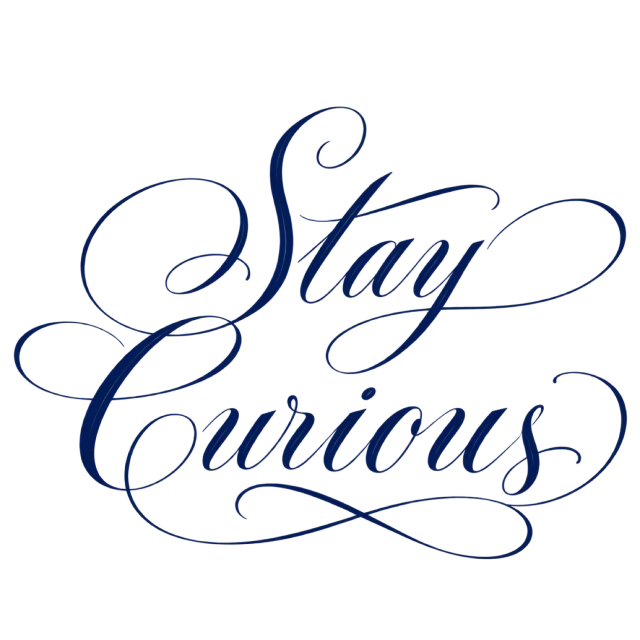 “Stay Curious” in navy calligraphy, with fine navy script with long looping capitals and an interlaced underline