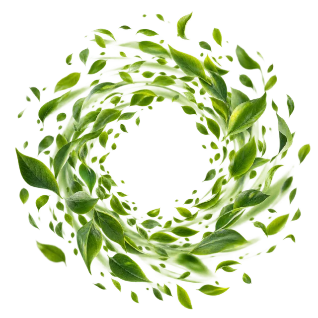 Green leaves spiral around an open circular center