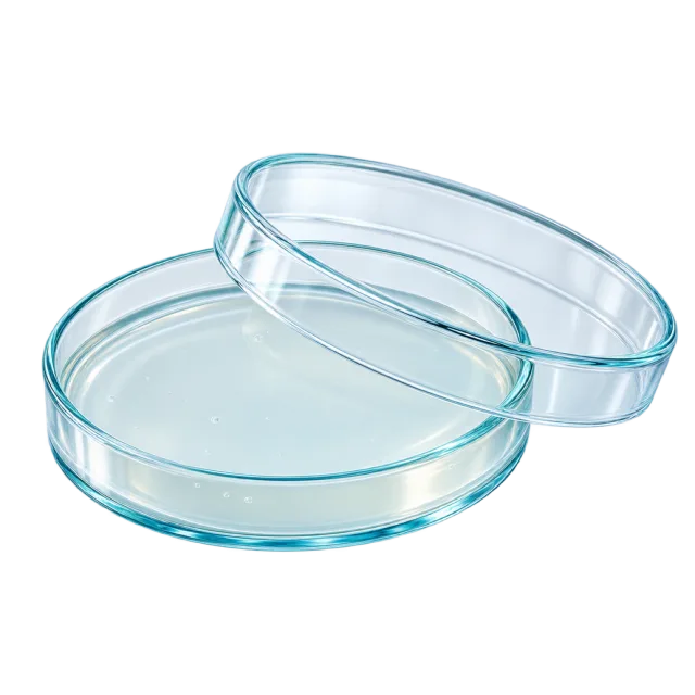 Two clear round petri dishes overlap