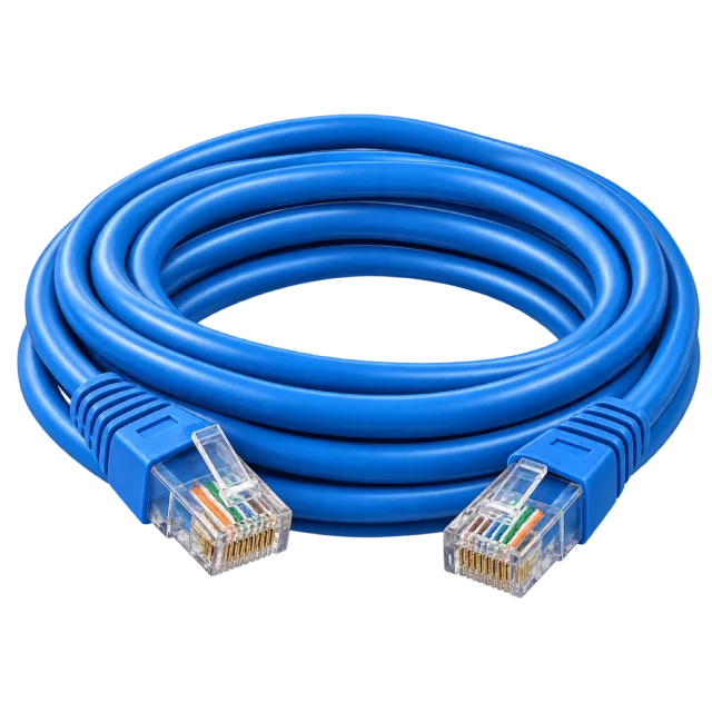 A blue Ethernet cable is coiled with clear plugs visible