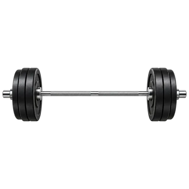 A metal barbell has black plates at each end