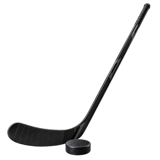 A black hockey stick sits beside a black puck
