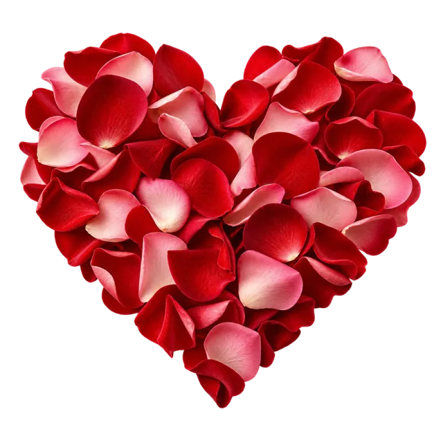 Red and pink rose petals form a heart