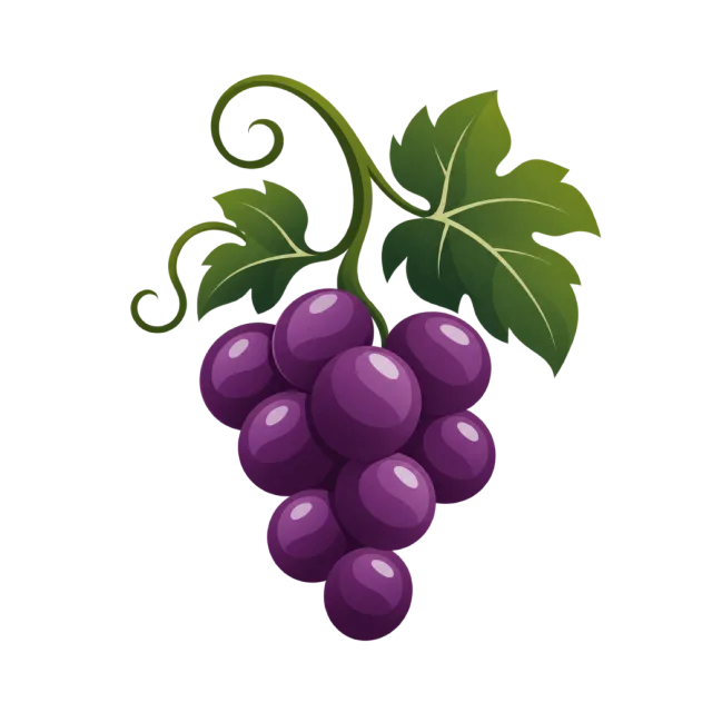 Purple grapes hang beneath green vine leaves