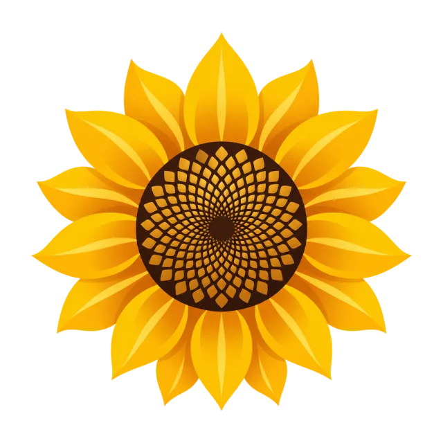 A bright yellow sunflower has a dark seeded center
