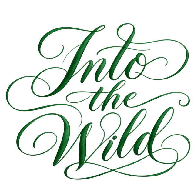 The words “Into The Wild” in deep green script with long, flowing flourishes