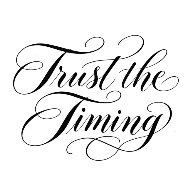 The words “Trust The Timing” in black calligraphic lettering with delicate loops and flowing strokes