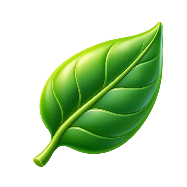 A curved green leaf with a pale central vein and branching veins