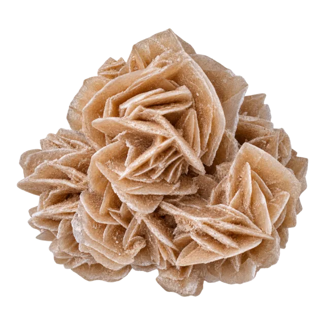 A sandy beige mineral cluster with overlapping petal-like crystal blades