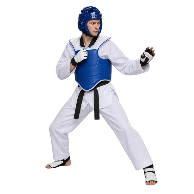 Taekwondo practitioner wearing blue head and chest protection in a guard stance