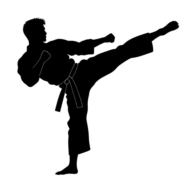 Black silhouette of a martial artist performing a high side kick