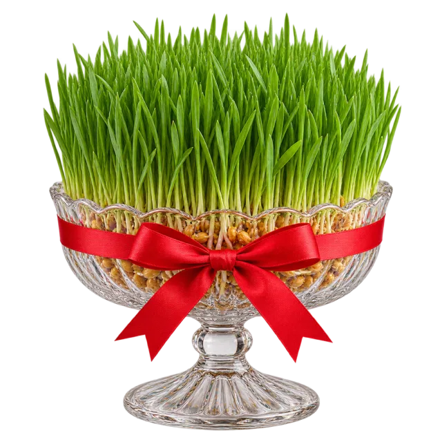 Dense green sprouts in a raised glass bowl tied with a red ribbon