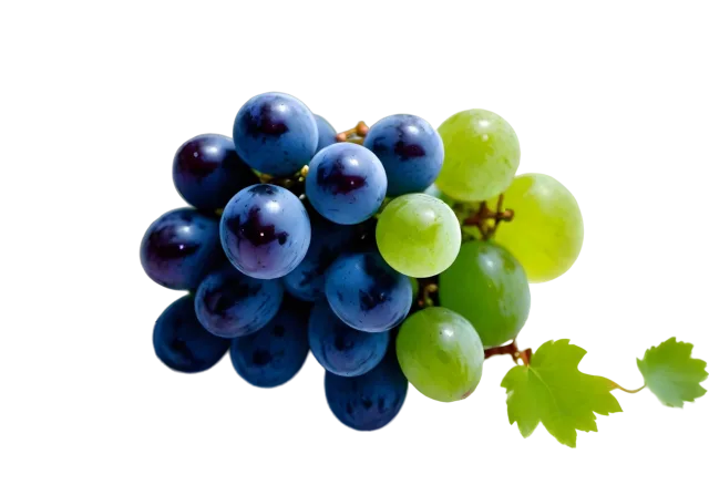 Blue and green grape clusters with a sprig of small green leaves on a transparent background