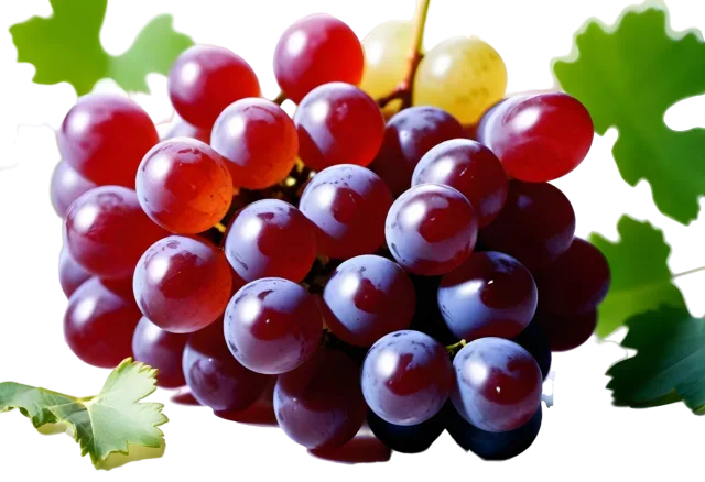 Wide cluster of red and purple grapes framed by bright vine leaves on a transparent background