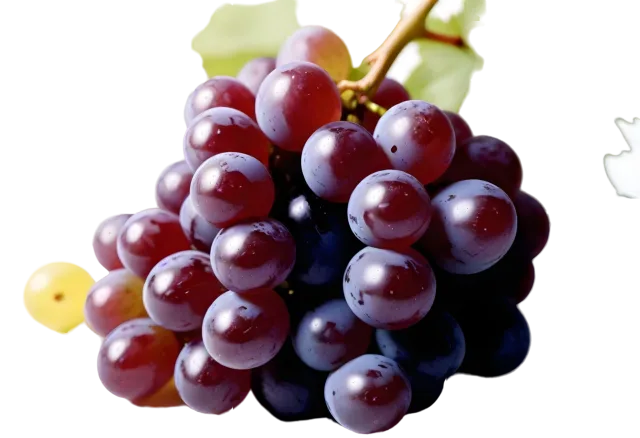 Glossy red-purple grape bunch with pale green leaves and a curling stem on a transparent background