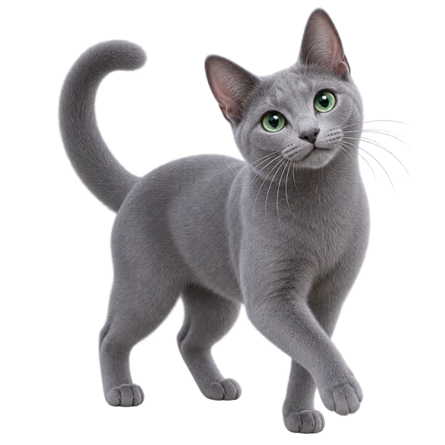 3D-style character illustration of russian blue cat with a smooth gray coat and green eyes