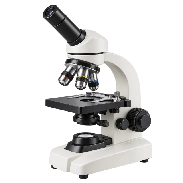 Realistic-style illustration of school microscope