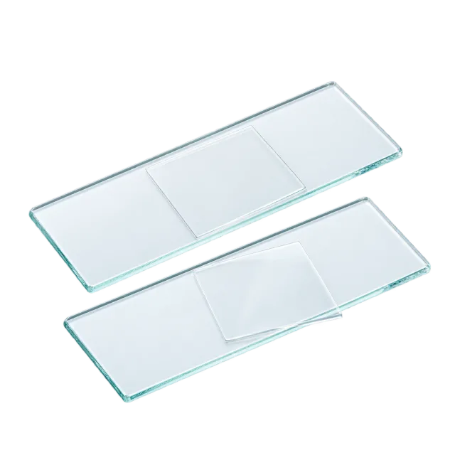 Realistic-style illustration of pair of microscope slides with coverslips