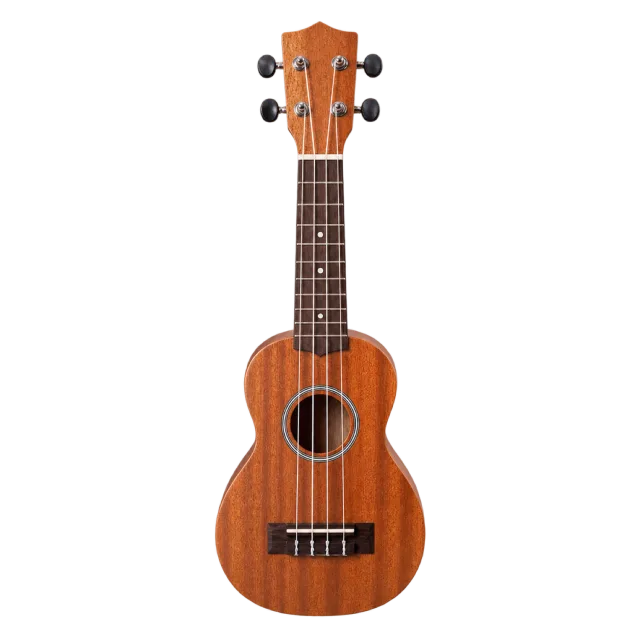 Realistic-style illustration of school ukulele