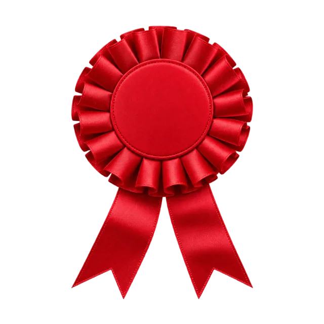 Realistic-style illustration of red award rosette with blank center