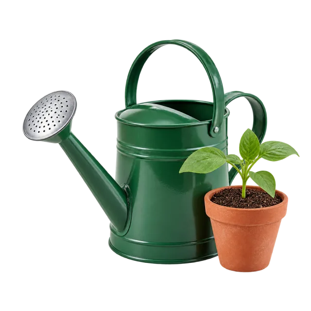 Realistic-style illustration of green watering can and potted seedling