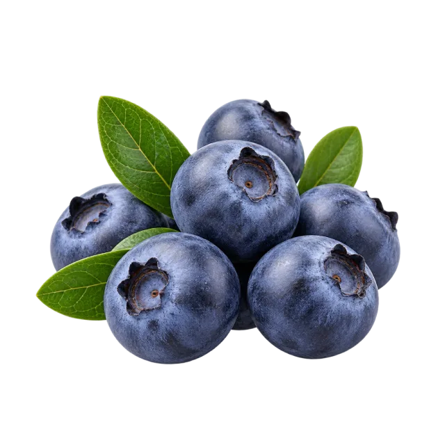 Blueberries with a soft dusty bloom arranged beside green leaves