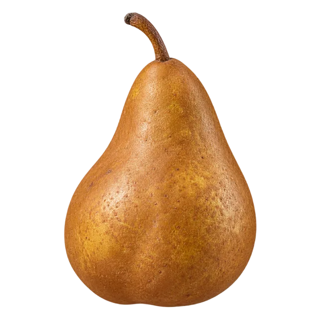 A golden-brown pear with speckled skin and a curved dark stem