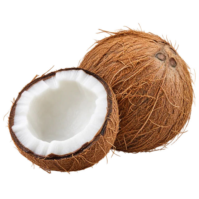 A fibrous brown coconut beside an open half showing white flesh