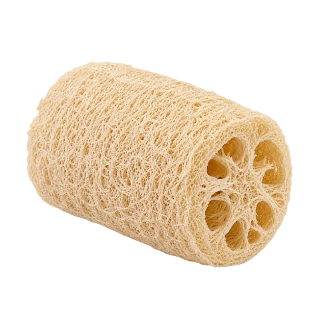 Realistic-style illustration of natural loofah sponge