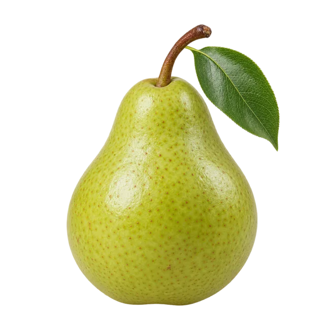 A speckled green pear with a brown stem and dark green leaf