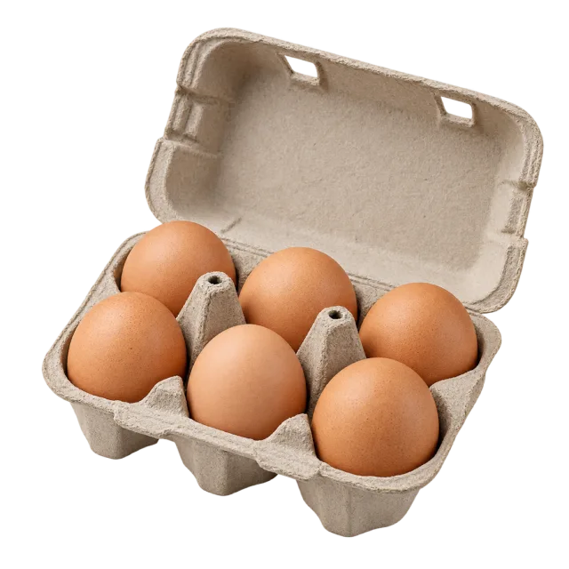An open molded cardboard carton holding six brown eggs
